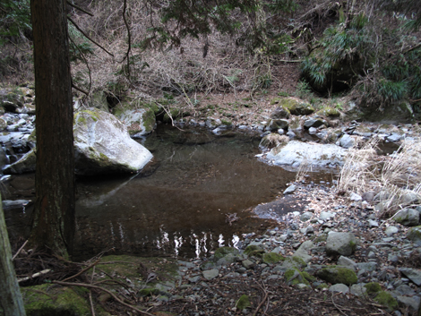 20180116hike (309)